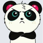 DA PANDA MASTERS!!!🐼🐼🐼