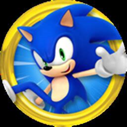 Sonic sped simulator