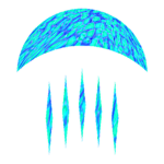 scyphozoa