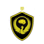Ironians Ryu 拳