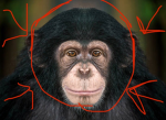 Not Monke Games