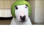 Join my culture