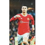 Dodo s group