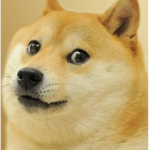 Doge Is Doggo