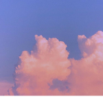 Cloud...foxes