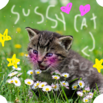 chill sussy amogus cat army