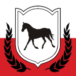 [ČSL] 2. Jízdní prapor