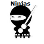 Secret Shadow Ninjas