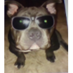 $ bhaddie ######