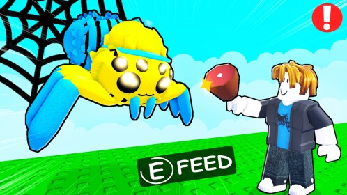 Feed a Spider🕷️