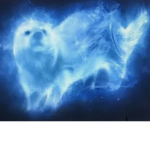 Patronus charm