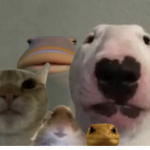 hola :]xD