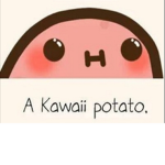 Potato squad/team