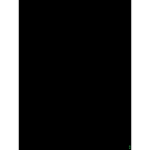 The_black_army+