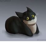 Maxwell Cat Studio