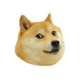 Bad doge game
