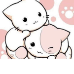 Kittys forever <3