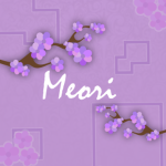 aesthetic meori merch