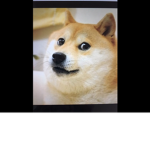 Doge give robux