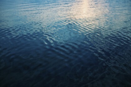 the water