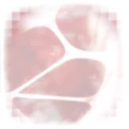 ʚɞ