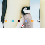 Annabelles Penguin Squad