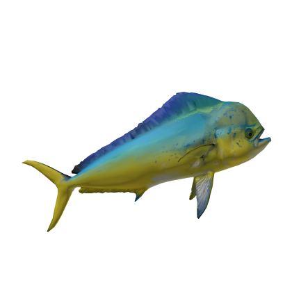 Giant Realistic Mahi Mahi Fish