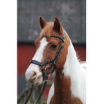 Ponies Fan Group <3