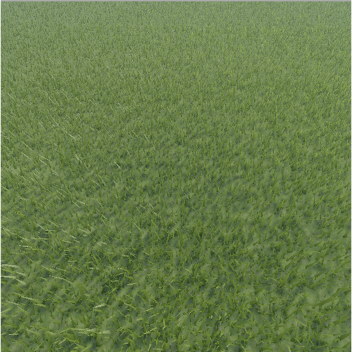 Touch GRASS Simulatour! 🌳