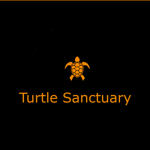 Turtle Sanctuary