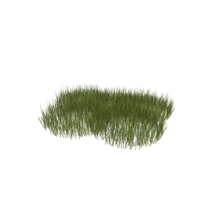 Light Grass