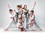 Martial Arts Dojo!