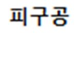 피구공의그룹 !
