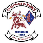 3rd Battalion, 1st Marine Regiment (3/1)