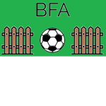 [BFL] Backyard Football Association