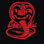Cobra Kai Karate | DOJO