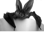 BATZ UNITED