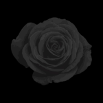 spookandshadow