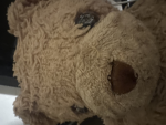 Katies Bear Group