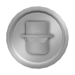 Silver Suf Coin