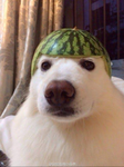WatermelonByte