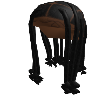 coi braids Roblox item