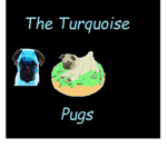 The turquoise pugs