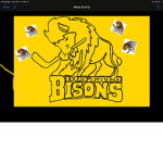 Bison Hockey Group