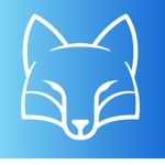 Winter fox army