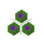 Socket Orbital