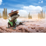 TEH #IGUANA SQUAD!