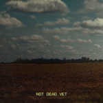 apocalyptic & aesthetic