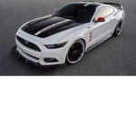 mustang family