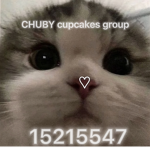 CHUBY cupcakes